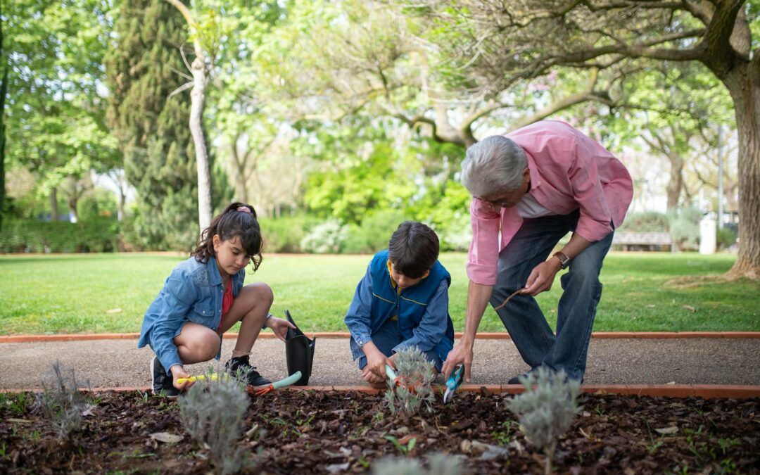 Curso de Educación Ambiental